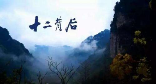 夜跑致半月板撕裂，到底如何跑步才不伤膝盖？